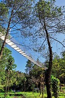 Penginapan Alam DGlorious CraterKamojang