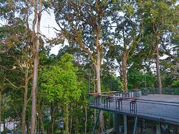 Penginapan Alam DGlorious CraterKamojang