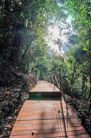 Penginapan Alam DGlorious CraterKamojang