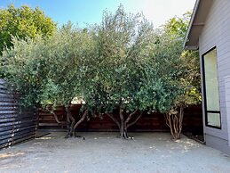 Modern Sonoma Home w Private Pool - Valley Vineyards
