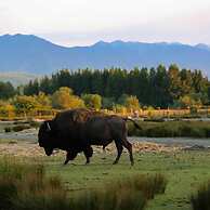 The Culinary Quarters