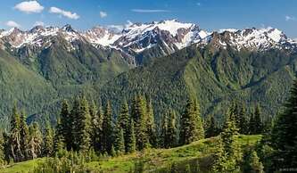 The Culinary Quarters