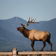 The Culinary Quarters