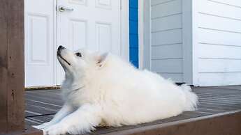 Taean Dalbam pet Pension