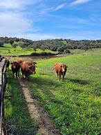 HOTEL RURAL FINCA BARRAL