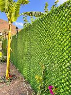 Adrasan parlak villa