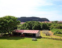 LAS MIMOSAS DEL NALON
