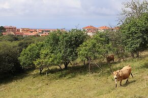 LAS MIMOSAS DEL NALON