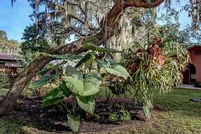 Lakeview Escape Kayaks