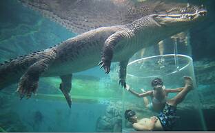Zen Bridgeport Waterfront Balcony Dining - Pool