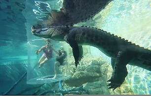 Downtown Delight 2BR Getaway Pool