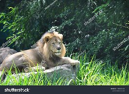 Hotel Yathin - Mysore