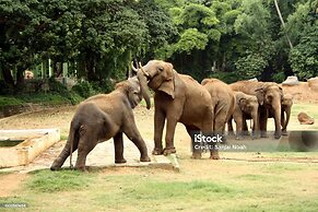 Hotel Yathin - Mysore