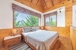 Echor Hill Farm Cottages Palampur