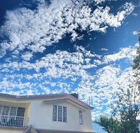 Ronglyang Lotus Villa Homestay (Near MG Road)