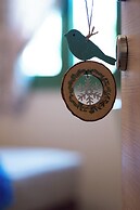 Ellotia & Asterion By Forest Villas