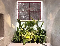 Joi Boutique Bai Truoc