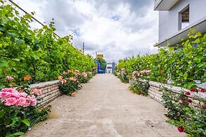 Hometown Apartment in Gjirokaster