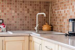 The Old-clock Apartment