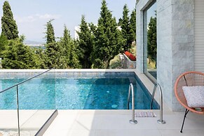 The Luxury Villa in Shkod r