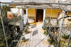 City Grove Blooms and Beds