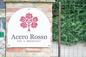ACERO ROSSO