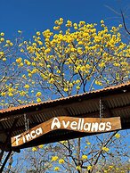 Finca Avellanas