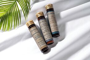 CREAL premier Omorikita