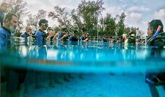 Blue Sea Beach Resort