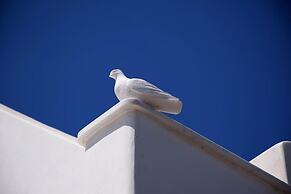Amberi Tinos in Panormos