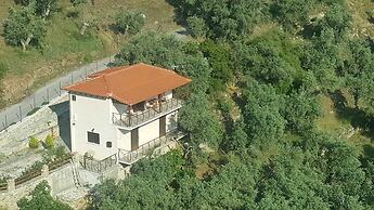 Luxury Mansion in Pelion Hills