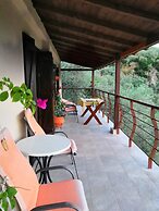 Luxury Mansion in Pelion Hills