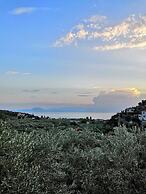 Luxury Mansion in Pelion Hills