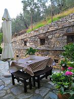 Luxury Mansion in Pelion Hills