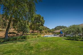 Calistoga Wine Ranch Estate