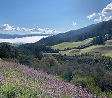 Modular Luxury Casita w Pool