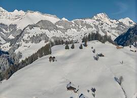 Superior Chalet With Views