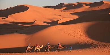 Merzouga Retreats Camp