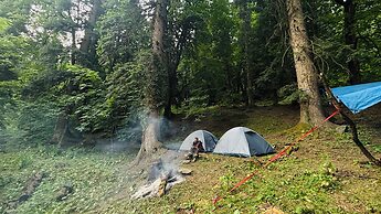 Cove The Glass House