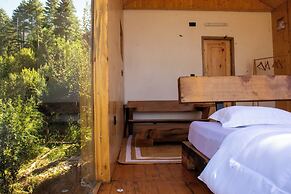 Cove The Glass House