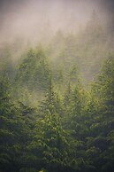 Cove The Glass House