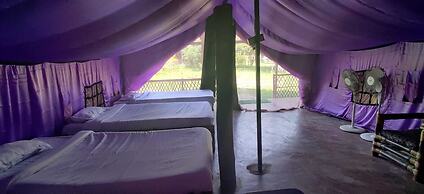 Lali Mou Camp By GRB