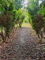 Lali Mou Camp By GRB