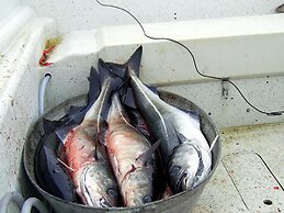 6 Person Holiday Home in Bostad-by Traum