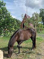 Huong Sen Garden Lodge