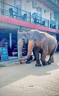 Elepath Lodge - Pinnawala