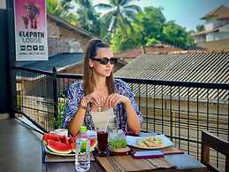 Elepath Lodge - Pinnawala