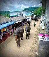 Elepath Lodge - Pinnawala