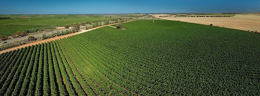 BIG4 Red Cliffs Holiday Park