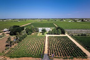 BIG4 Red Cliffs Holiday Park